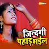 About Jindgi Pahad Bhail Song